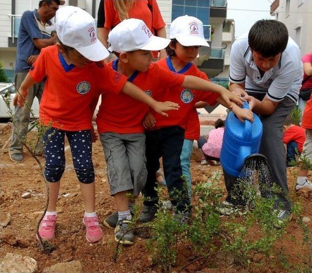 Muratpaşa’da “çevre Şenliği” Düzenlenecek 1