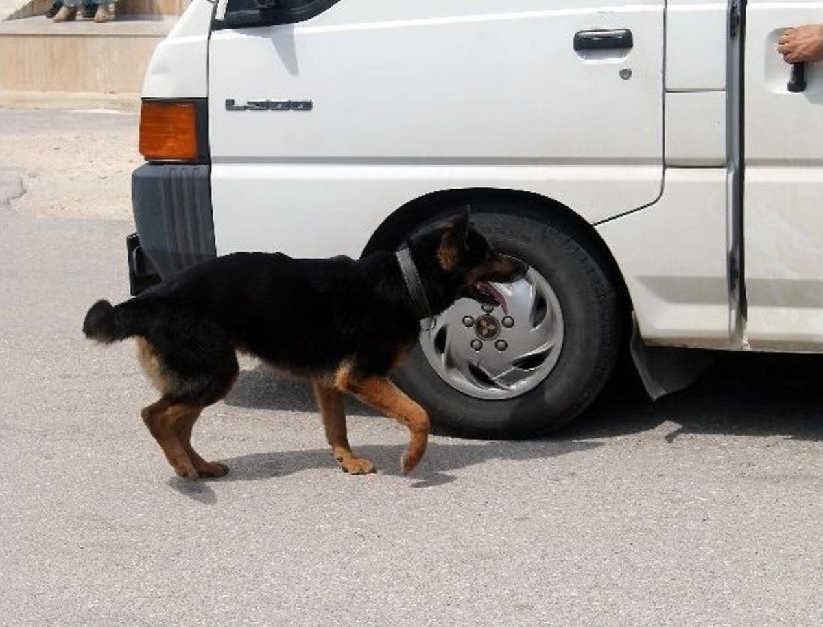 'para'nın G&ouml;sterisi Nefes Kesti