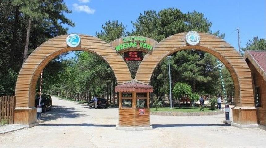 Zafran Mesire Yeri Vatandaşların İlk Tercihi