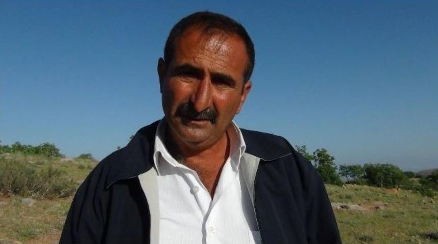 Akyazılılar Mera Sıkıntısı &Ccedil;ekiyor