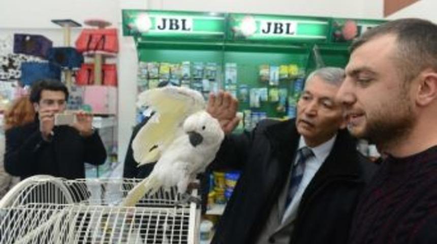 Isparta Belediyesi'nden Ev Ve S&uuml;s Hayvanları Satışı Yapanlara Y&ouml;nelik Eğitim