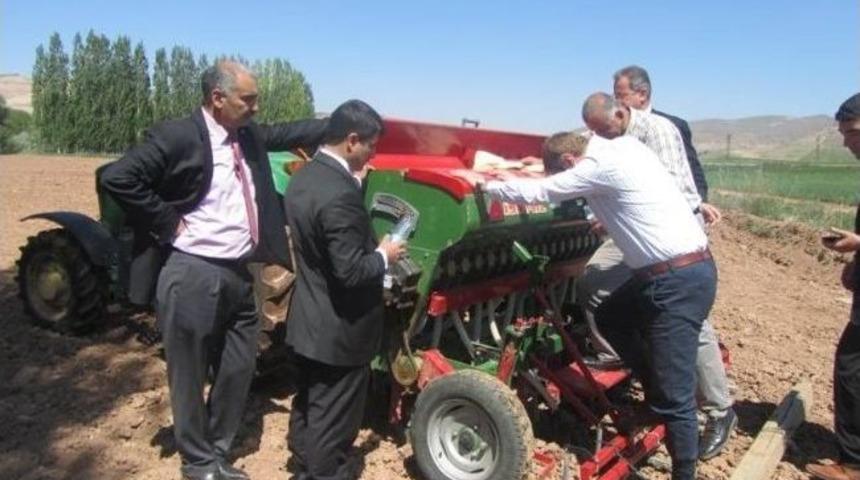 Kuluncak&rsquo;ta Kinoa &Uuml;retimi