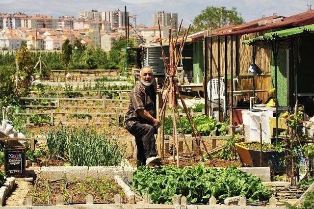 Karaman'da Huzur Bahçeleri İlgi Görüyor