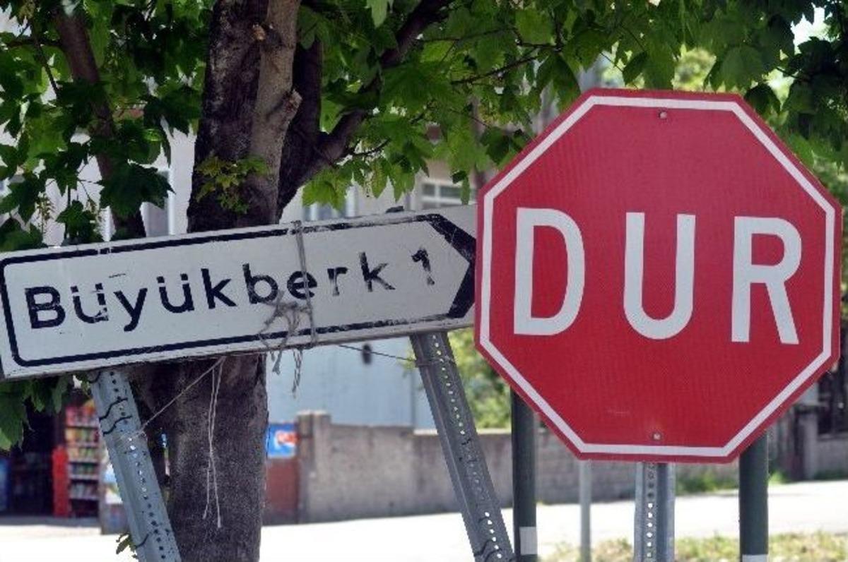 K&ouml;ye İnen Tilki Kuduz &Ccedil;ıktı