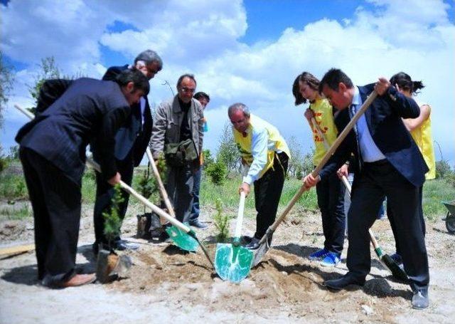 Yyü’de Fidan Dikimi 1