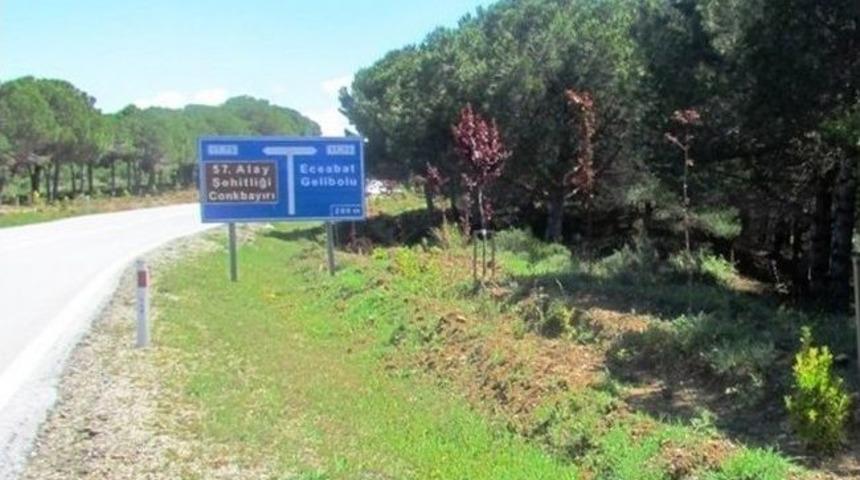 Şehitlikte Fidanlar Çiçek Açtı