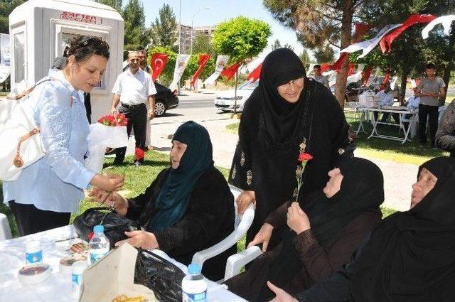 Karak&ouml;pr&uuml;&rsquo;de &ldquo;hayat Ağacı Projesi&rdquo; 1