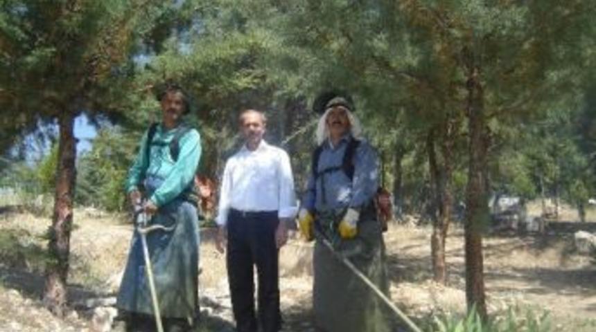 Mezarlık Temizlendi