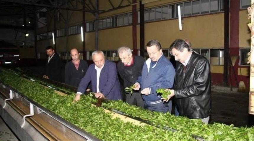 &Ccedil;aykur &Uuml;r&uuml;n Kalitesini Arttırıyor