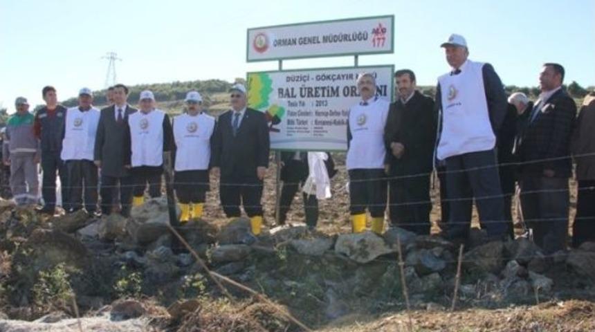 Orman B&ouml;lge M&uuml;d&uuml;rl&uuml;ğ&uuml; Projelerine Mali Destek Aldı