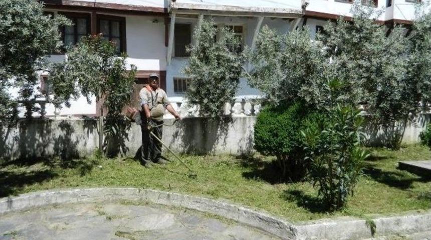 Tirilye&rsquo;de Parklara Bakım