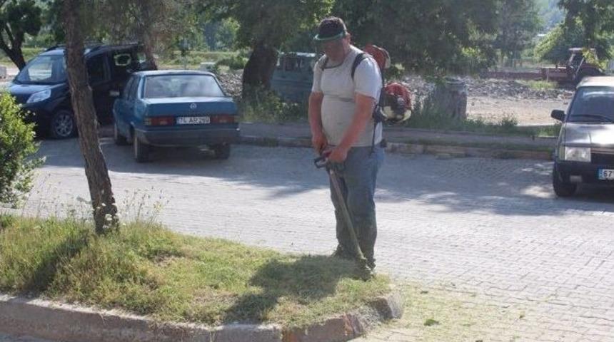 Yeşil Alanlar Bakıma Alındı