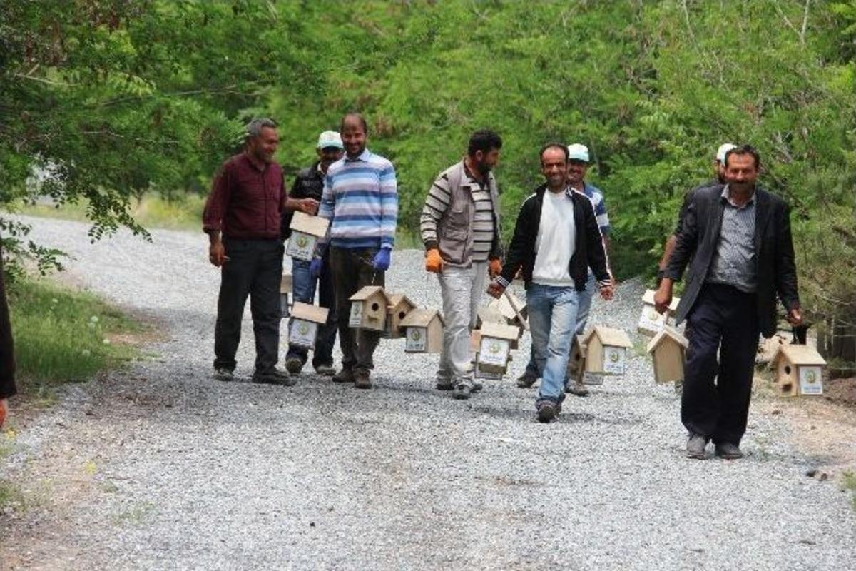 Iğdır Kent Ormanı&rsquo;na Kuşlar İ&ccedil;in Yuva Bırakıldı