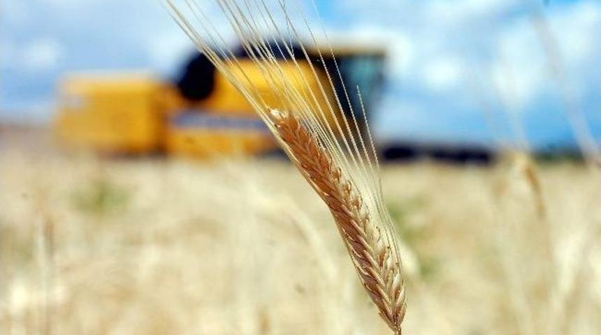 Adıyaman&rsquo;da İlk Hasad Sevinci