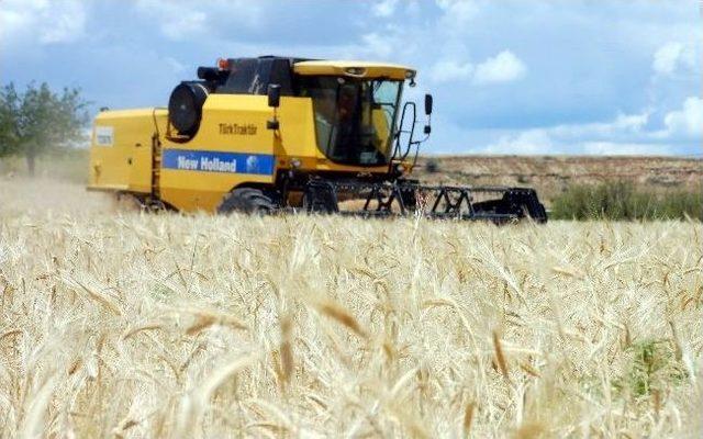 Adıyaman&rsquo;da İlk Hasad Sevinci 1