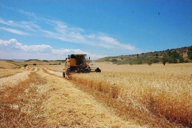Adıyaman&rsquo;da İlk Hasad Sevinci 2