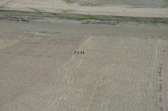 Baraj Seviyesi Düştü, Balık Tutulan Alanlar Tarla Oldu