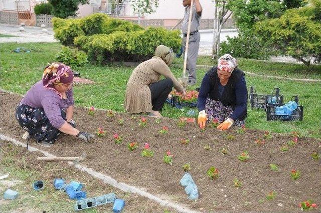 Bozüyük Rengarenk Çiçek Açıyor