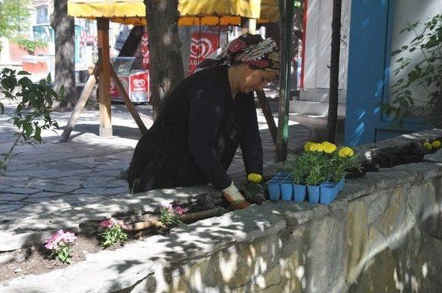 Bozüyük Rengarenk Çiçek Açıyor