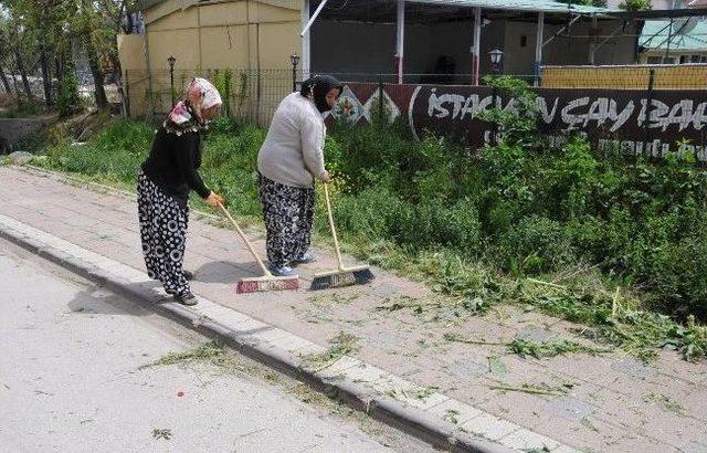 Bozüyük Rengarenk Çiçek Açıyor