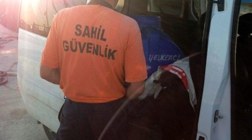 Mersin'de Akaryakıt Ka&ccedil;ak&ccedil;ılığı