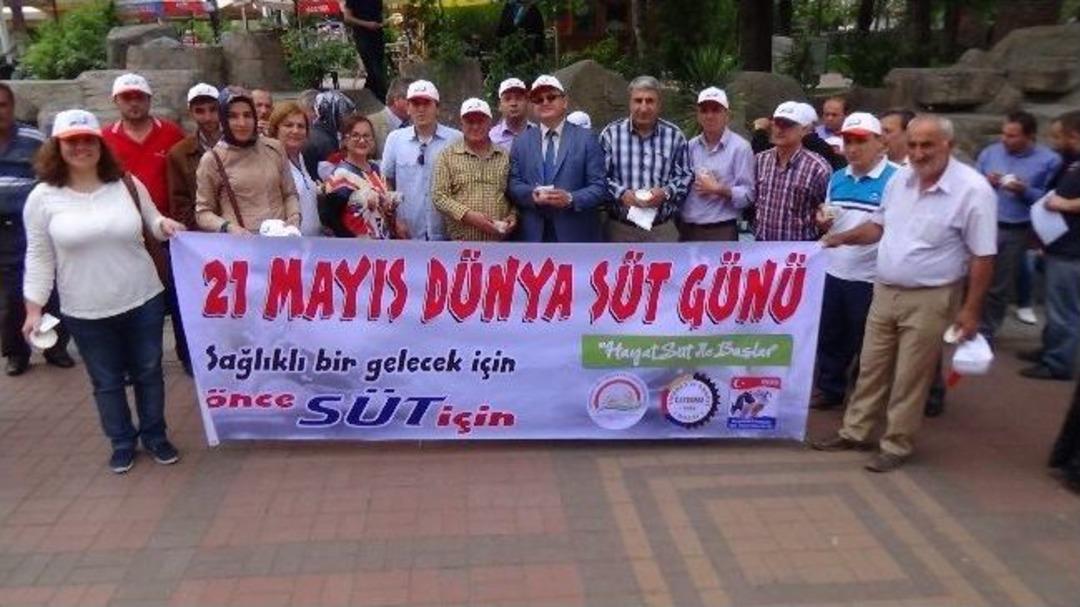 Be&uuml;&rsquo;de D&uuml;nya S&uuml;t G&uuml;n&uuml; Etkinliği