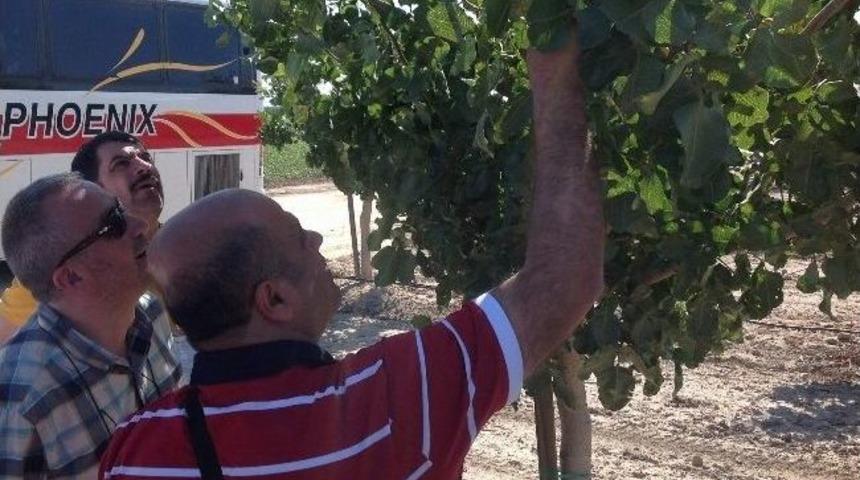 Gaziantepli Fıstık&ccedil;ılar Amerika&rsquo;da Fıstık Sekt&ouml;r&uuml;n&uuml; İnceledi