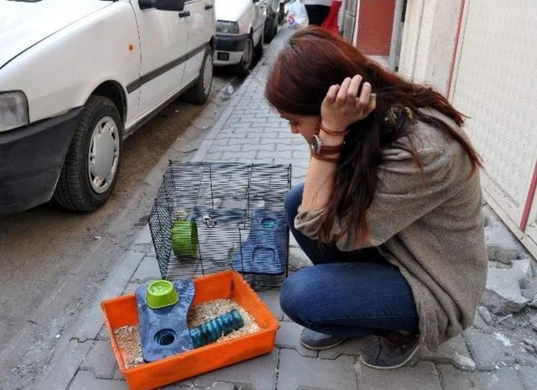 Hamsterı &Ouml;l&uuml;mden İtfaiye Eri Kurtardı