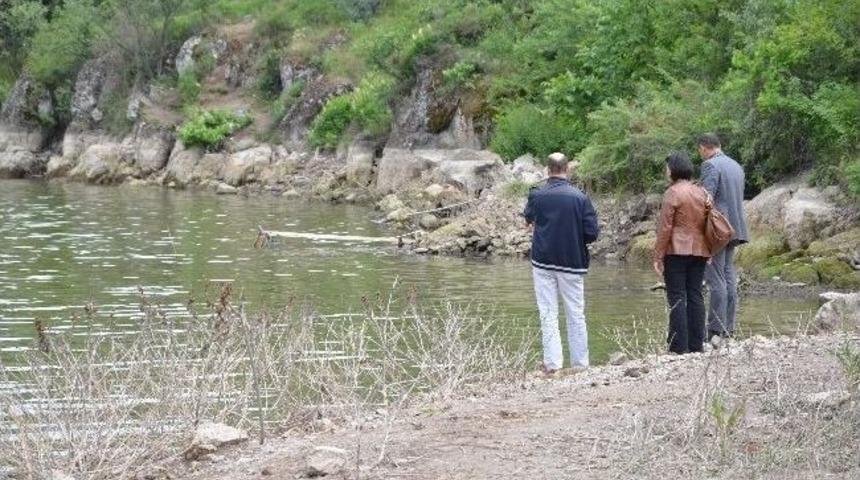&Ccedil;orum&rsquo;da Toplu Balık &Ouml;l&uuml;mleri S&uuml;r&uuml;yor