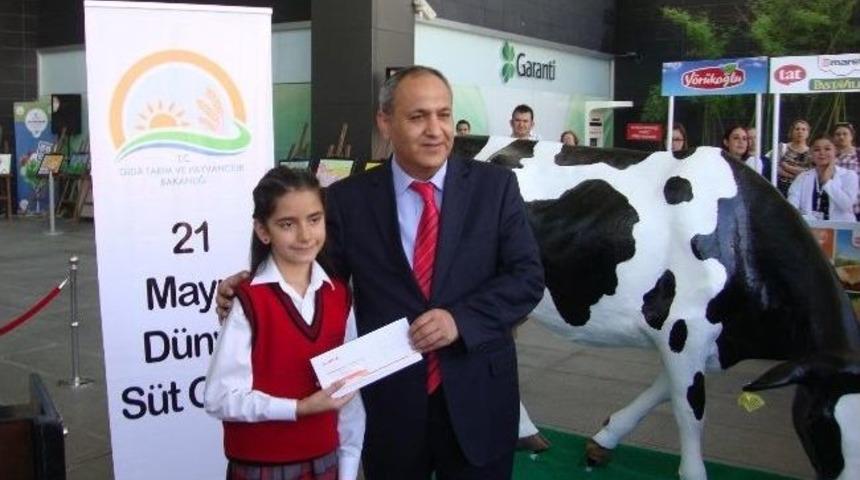 -korkuteli&rsquo;ndeki İlkokul &Ouml;ğrencisi İrem G&ouml;k&ccedil;imen&rsquo;e S&uuml;t &Ouml;d&uuml;l&uuml;