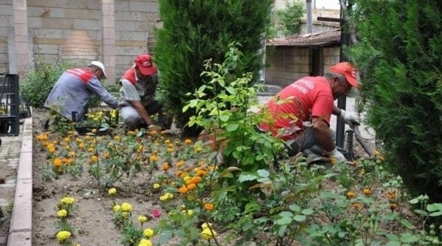 &Uuml;rg&uuml;p Belediyesi Tarafından 10 Bin Adet &Ccedil;i&ccedil;ek Dikildi