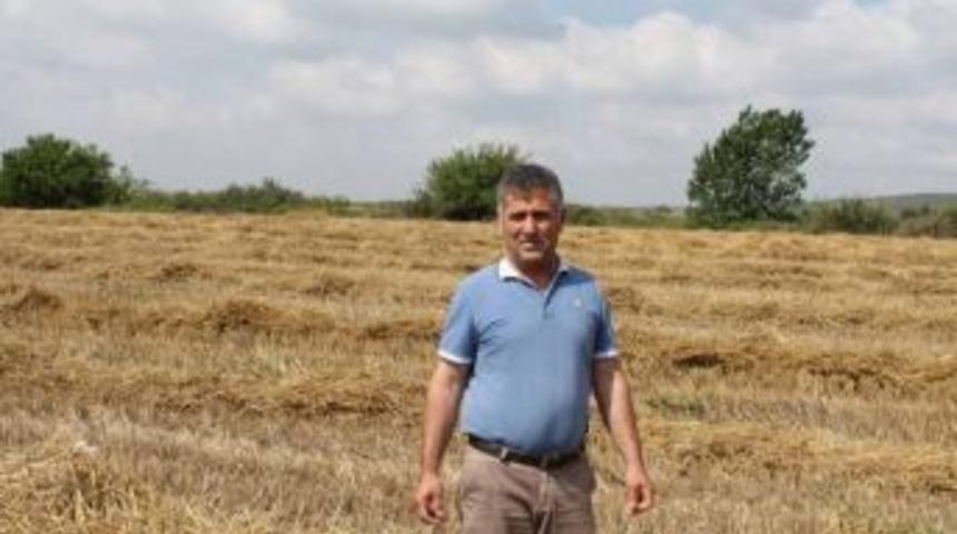 Tarladaki Buğdayı Bi&ccedil;tirip &Ccedil;aldılar