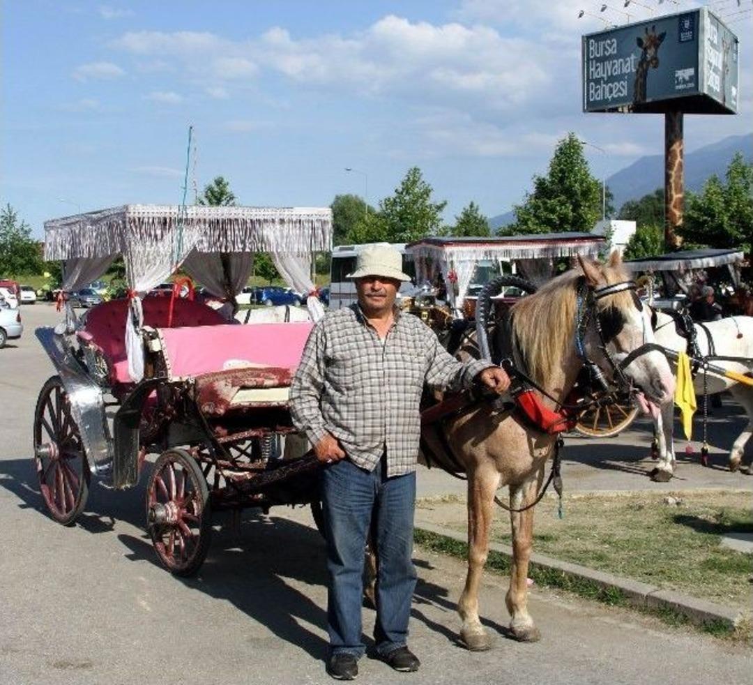 (&ouml;zel Haber) Hafta Sonu Tek, Hafta İ&ccedil;i 100 Beygir Kullanıyor