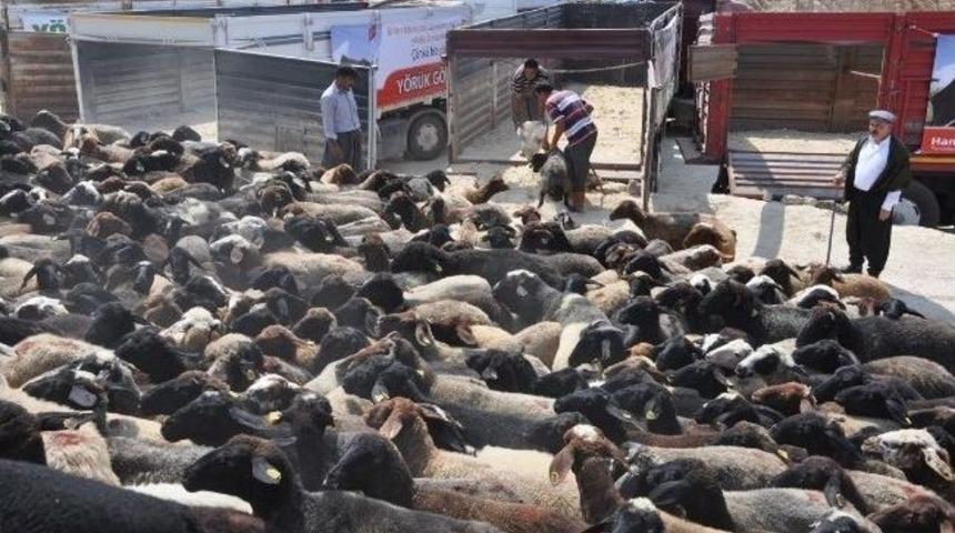 Başkan Tuna, Yaylalara G&ouml;&ccedil; Eden Y&ouml;r&uuml;kleri Uğurladı