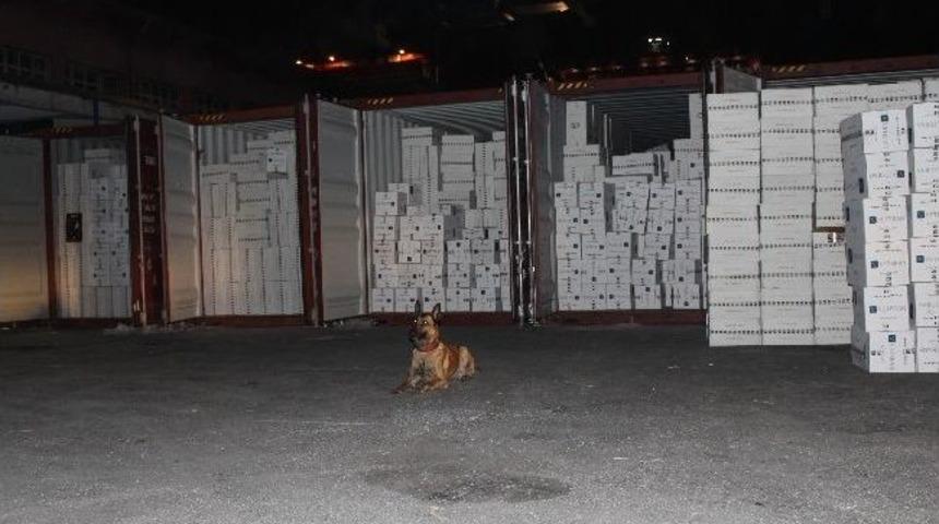 Mersin'de 2 Milyon 317 Bin Paket Ka&ccedil;ak Sigara Ele Ge&ccedil;irildi