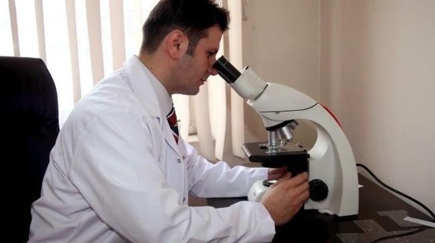 Hakkari&rsquo;de Yeni Bir Akar Cinsi Keşfedildi