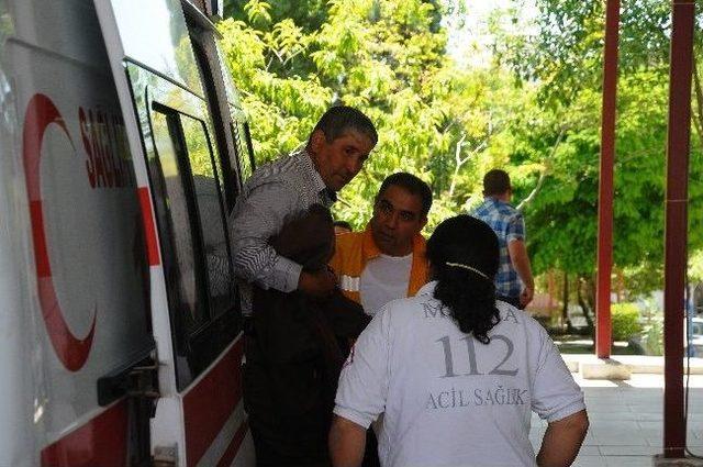 Şansın B&ouml;ylesi 2