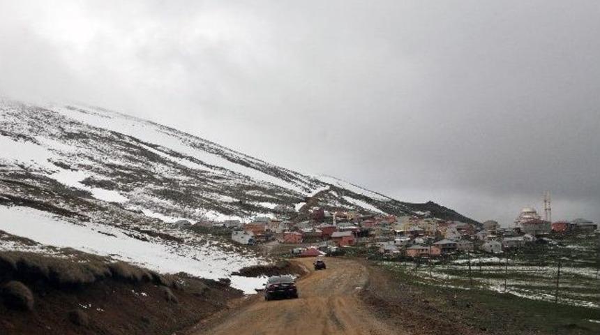 G&uuml;m&uuml;şhane&rsquo;de Yeşil Yol &Ccedil;alışmaları
