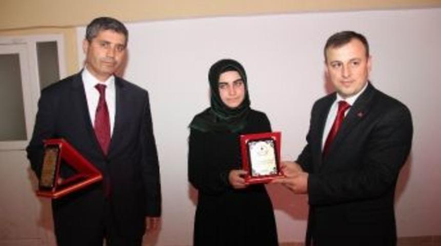 5.arap&ccedil;a Yarışması