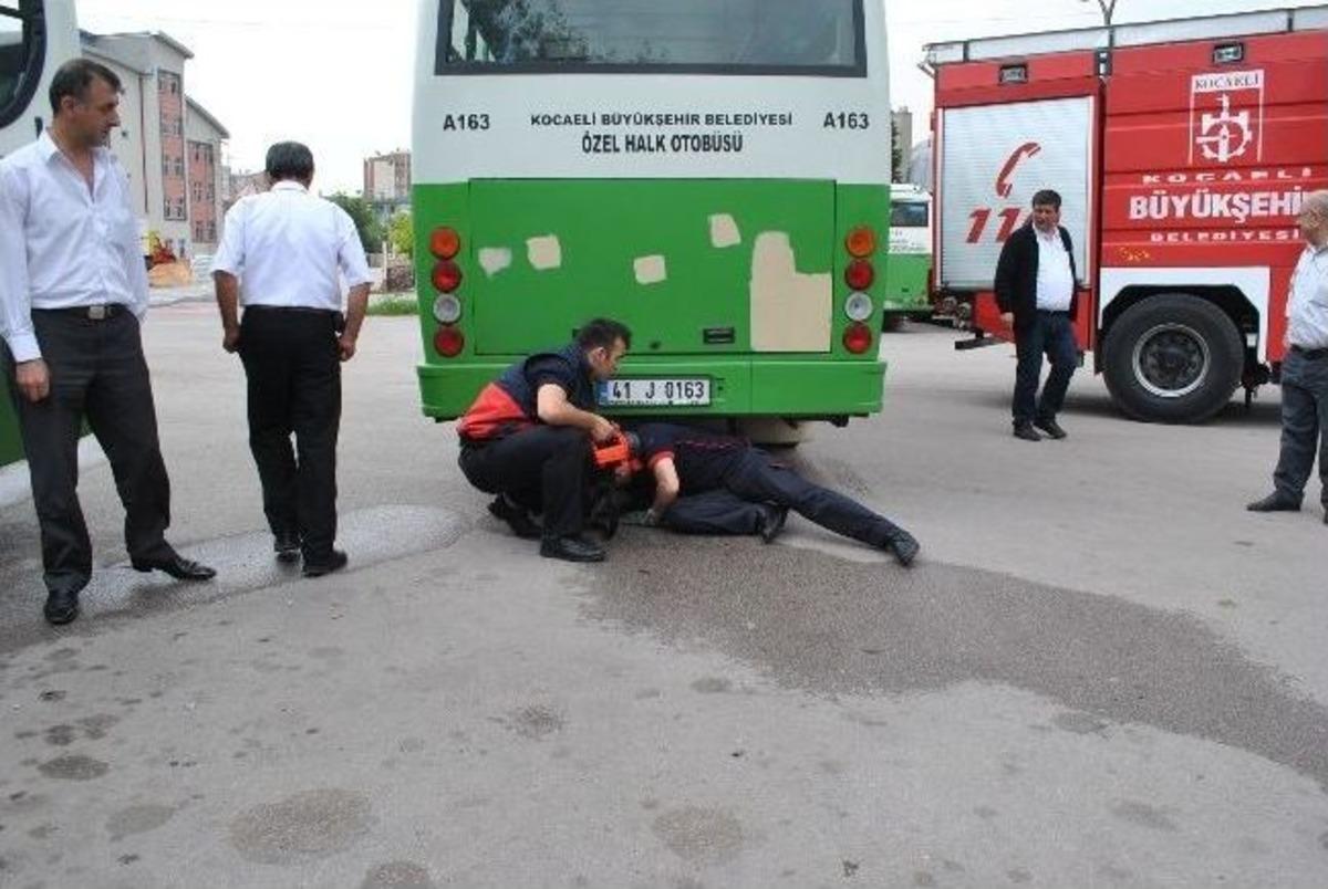 Otob&uuml;s&uuml;n Aksamına Giren Kedi Kurtarıldı