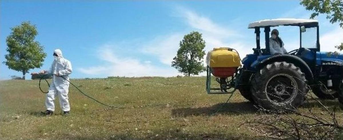 Simav'da &Ccedil;ekirge Seferberliği
