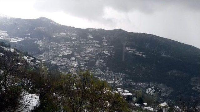 Doluya Tutulan Kiraz &Uuml;reticisi Kredi Faizlerinin Ertelenmesini İstiyor 1