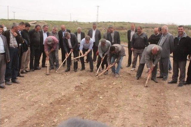 Kayseri Şeker Pancar Çiftçisine Çapa Avansı Dağıtımına Başlıyor