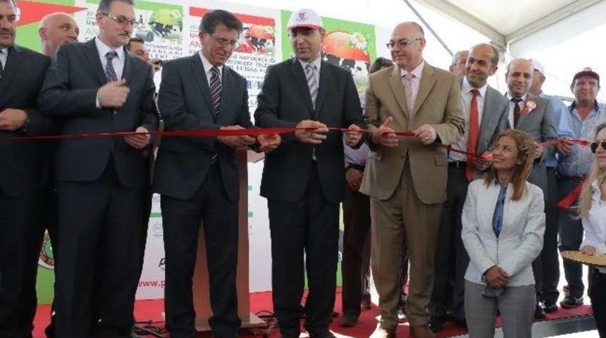 Canlı Hayvan Fuarı, İzmir&rsquo;i Canlandırdı!