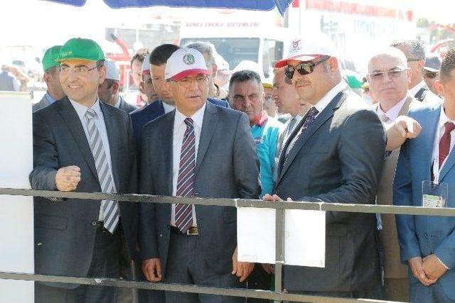 Canlı Hayvan Fuarı, İzmir&rsquo;i Canlandırdı! 2