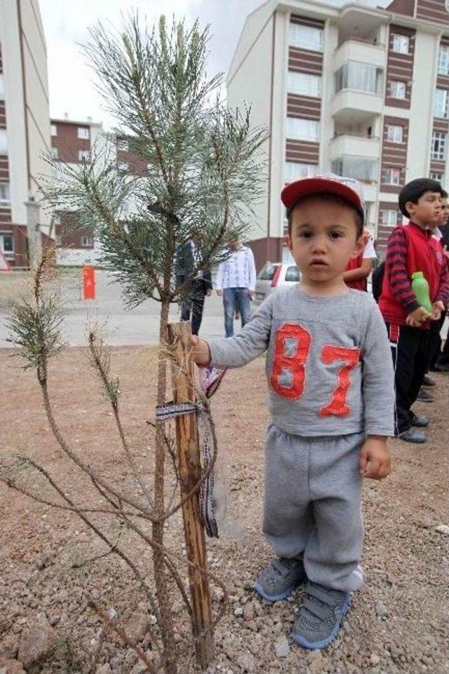 Soma Yenimahalle&rsquo;de &Ouml;l&uuml;ms&uuml;zleşti 2