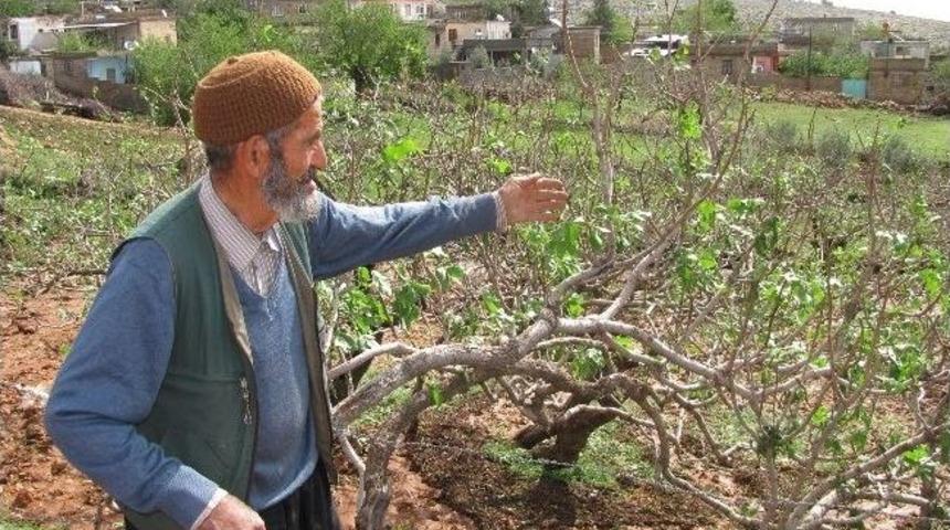 Arabanlı &Ccedil;ift&ccedil;ilerin Kredi Bor&ccedil;ları Ertelenecek