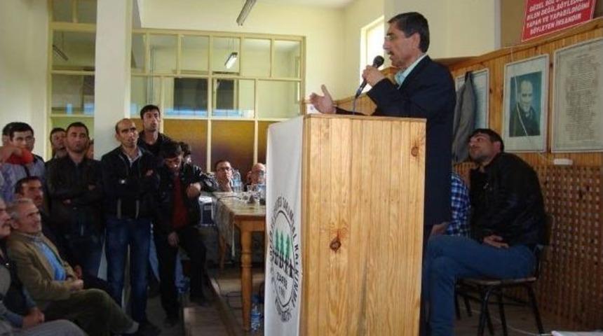 Furuncu, G&uuml;ven Tazeledi