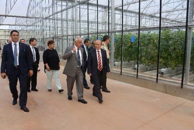 Vali &Ouml;zt&uuml;rk, Biyolojik M&uuml;cadele Şirketinde İncelemelerde Bulundu 1