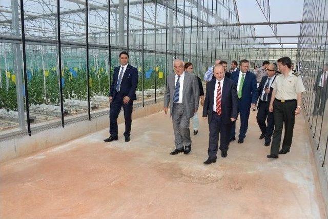 Vali &Ouml;zt&uuml;rk, Biyolojik M&uuml;cadele Şirketinde İncelemelerde Bulundu 2